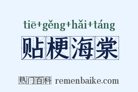 贴梗海棠是什么意思的图片